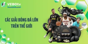 Các Giải Bóng Đá Lớn Trên Thế Giới Khiến Fan Phát Cuồng