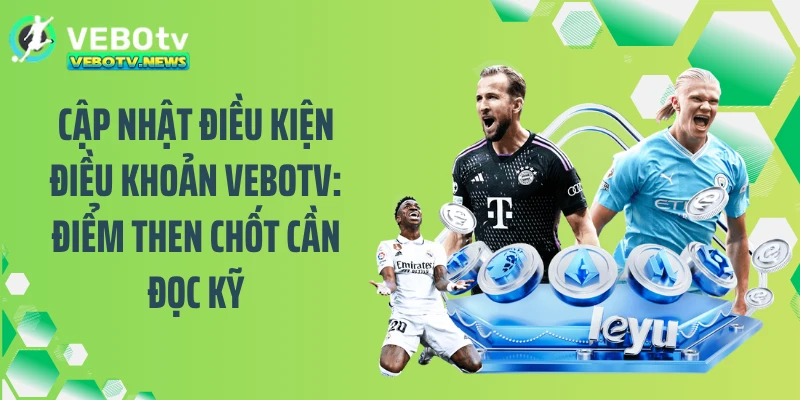 Cập nhật điều kiện điều khoản VEBOTV: Điểm then chốt cần đọc kỹ