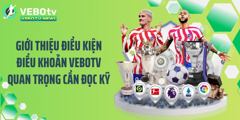 Giới thiệu điều kiện điều khoản VEBOTV quan trọng cần đọc kỹ