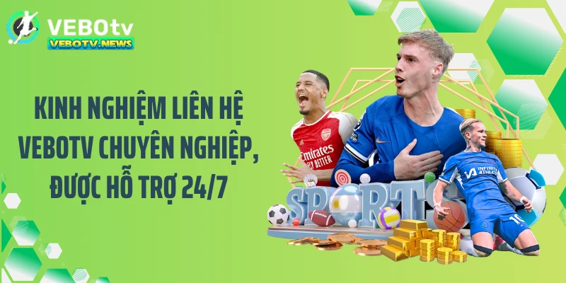 Kinh nghiệm liên hệ VEBOTV chuyên nghiệp, được hỗ trợ 24/7
